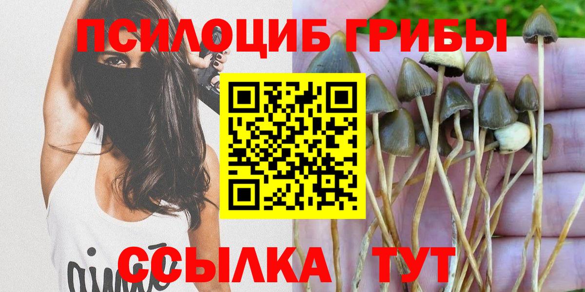 Галлюциногенные грибы Psilocybine cubensis Гусь-Хрустальный